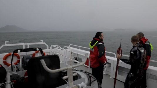 Spearfishermen saved by flare in drowning and shark scare